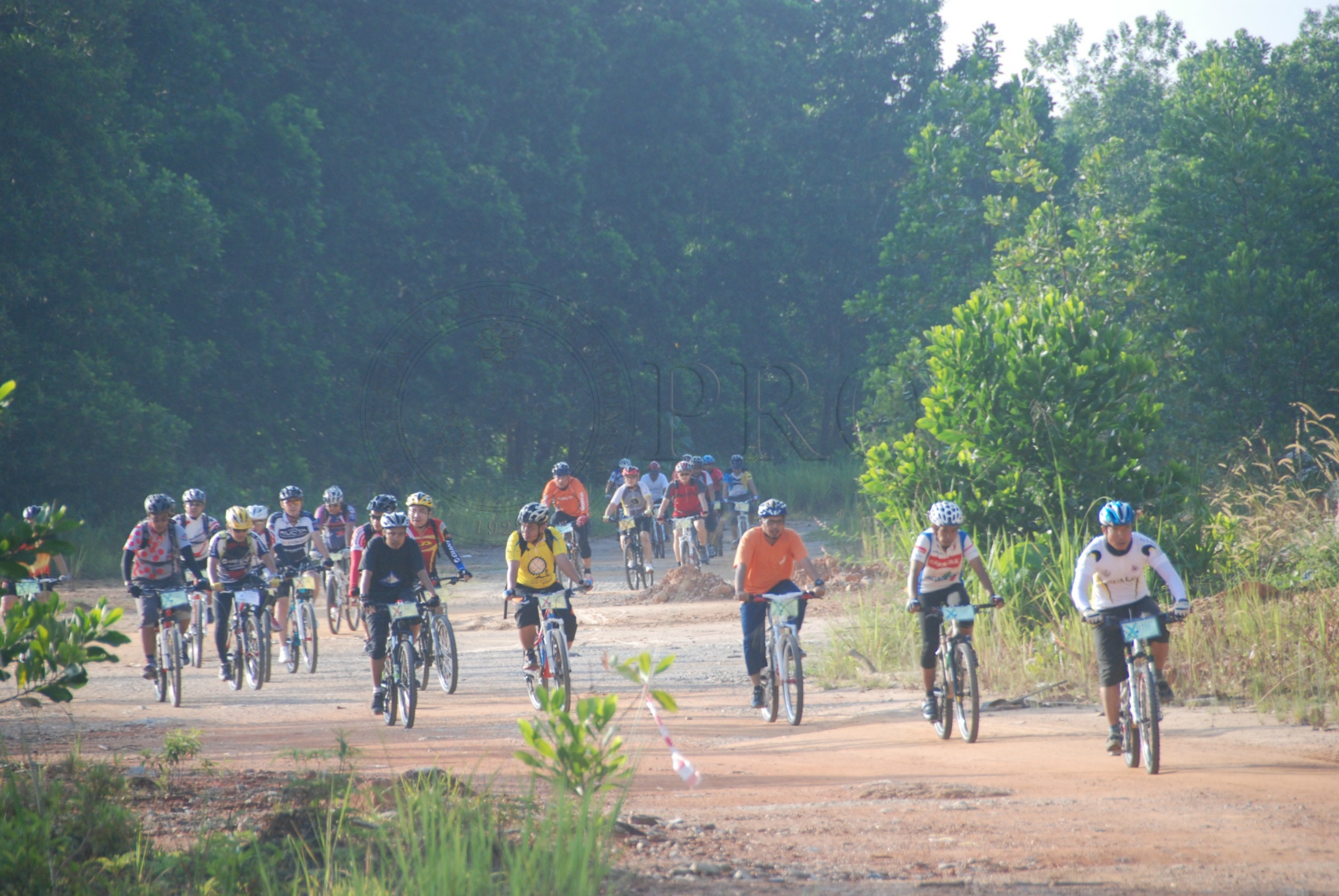 BPKK 12 145 jamboree DSC 1105